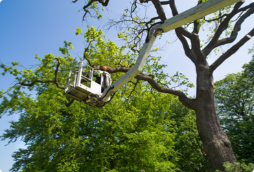 An employee works with a power elevated work platform